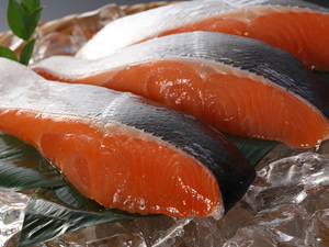北海道産最高級活〆「時鮭」