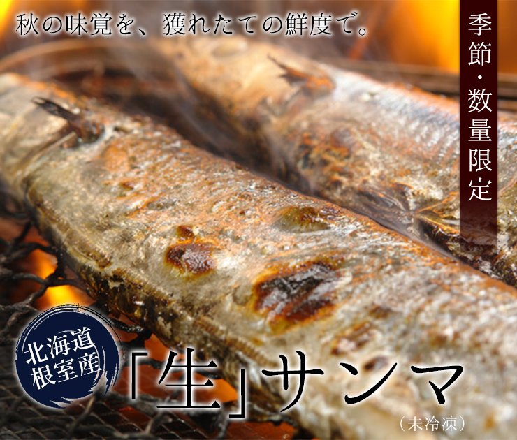 生サンマ