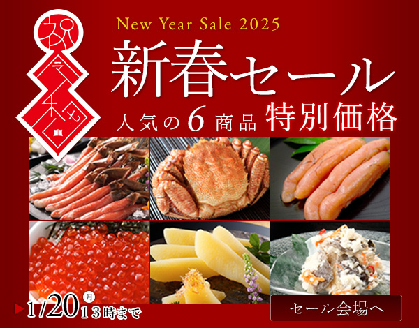 新春SALE