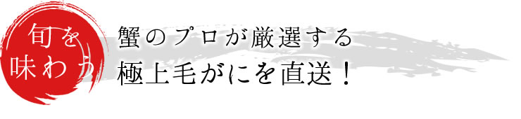 蟹のプロが厳選する、極上毛ガニを直送！