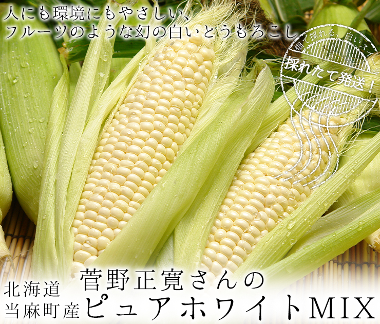 ピュアホワイトMIX